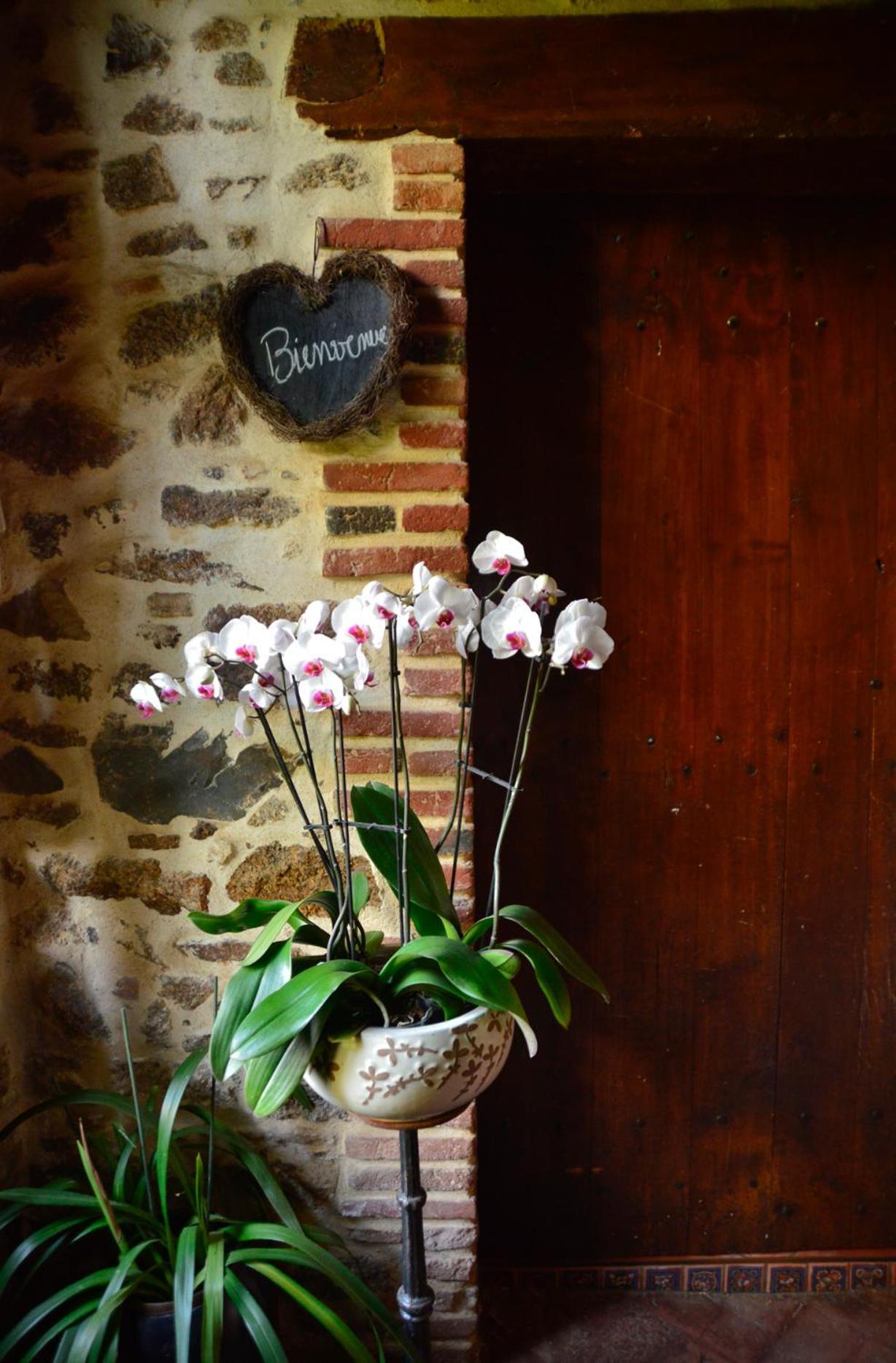 La Frapperie Panzió La Pommeraie-sur-Sèvre Kültér fotó